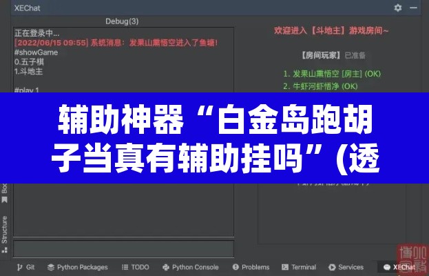 辅助神器“白金岛跑胡子当真有辅助挂吗”(透视挂)辅助透视教程