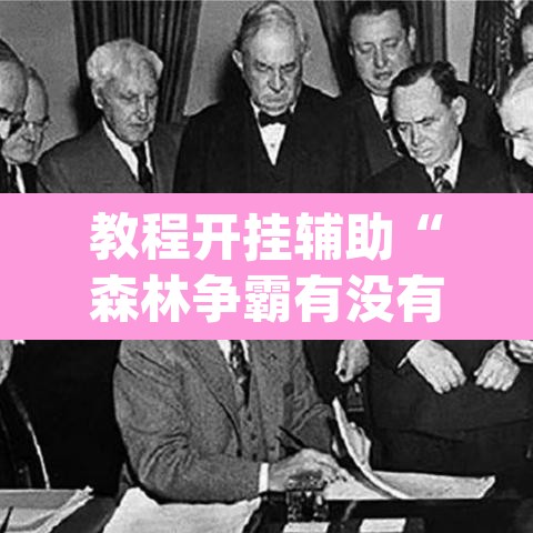 教程开挂辅助“森林争霸有没有挂”(透视挂)辅助透视教程