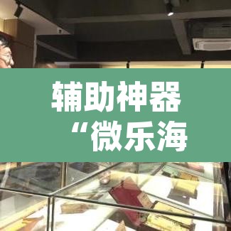 辅助神器“微乐海南麻将开挂神器”(透视挂)辅助透视教程