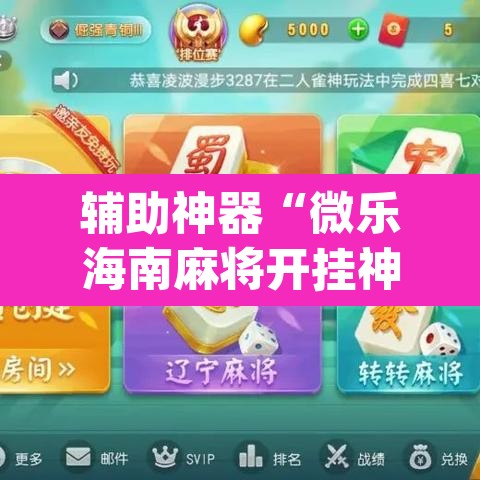 辅助神器“微乐海南麻将开挂神器”(透视挂)辅助透视教程