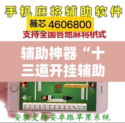 辅助神器“十三道开挂辅助软件”(透视挂)辅助透视教程