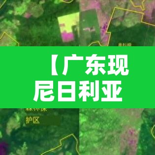 【广东现尼日利亚突变株·广州发现尼日利亚】