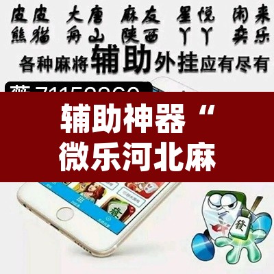 辅助神器“微乐河北麻将万能开挂器免费通用版	”(透视挂)辅助透视教程