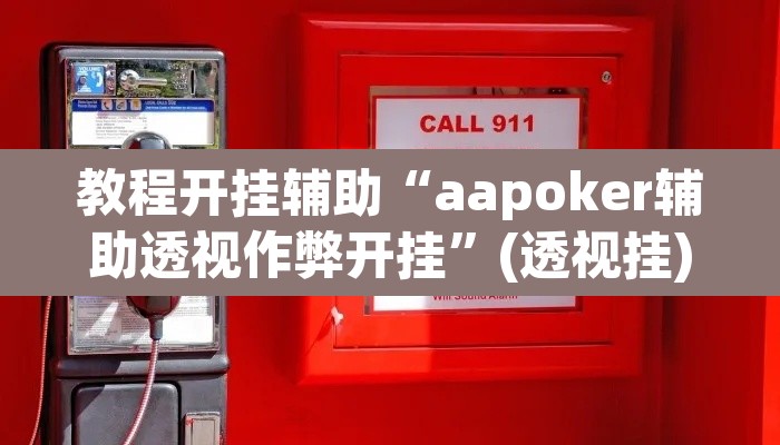 教程开挂辅助“aapoker辅助透视作弊开挂”(透视挂)辅助透视教程