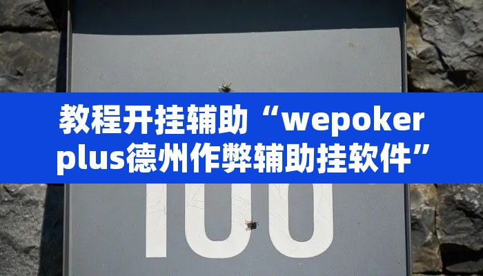 教程开挂辅助“wepokerplus德州作弊辅助挂软件	”(透视挂)辅助透视教程