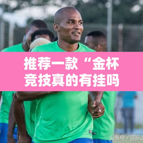推荐一款“金杯竞技真的有挂吗	”(透视挂)辅助透视教程