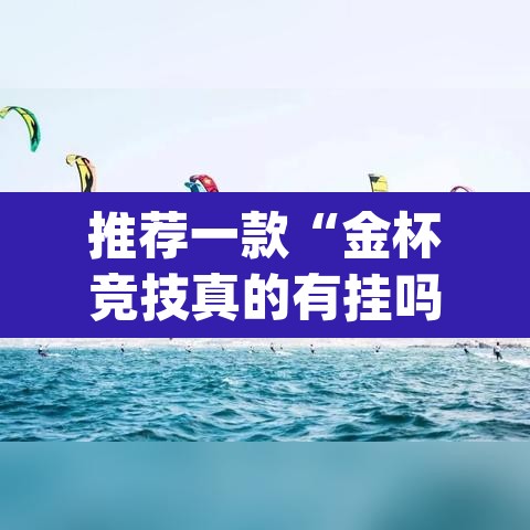 推荐一款“金杯竞技真的有挂吗”(透视挂)辅助透视教程
