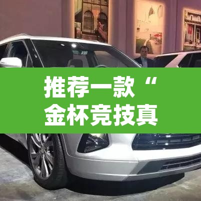 推荐一款“金杯竞技真的有挂吗”(透视挂)辅助透视教程