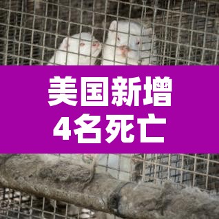美国新增4名死亡病例›美国新增死亡病例确诊人数