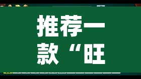 推荐一款“旺旺南平麻将怎么开挂	”(透视挂)辅助透视教程
