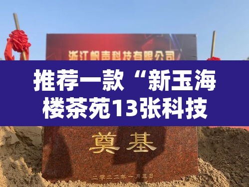 推荐一款“新玉海楼茶苑13张科技辅助”(透视挂)辅助透视教程