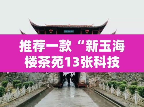 推荐一款“新玉海楼茶苑13张科技辅助	”(透视挂)辅助透视教程