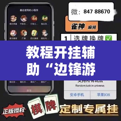 教程开挂辅助“边锋游戏辅助器	”(透视挂)辅助透视教程