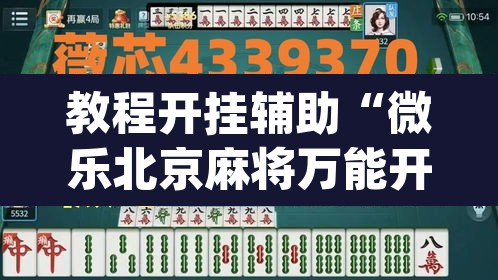 教程开挂辅助“微乐北京麻将万能开挂器	”(透视挂)辅助透视教程