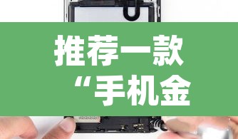 推荐一款“手机金花软挂神器	”(透视挂)辅助透视教程