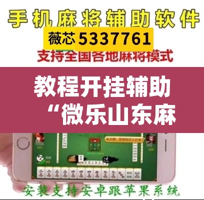 教程开挂辅助“微乐山东麻将免费挂”(透视挂)辅助透视教程