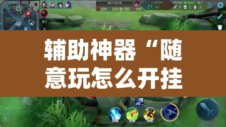 辅助神器“随意玩怎么开挂”(透视挂)辅助透视教程