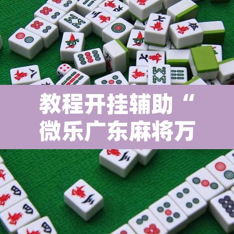 教程开挂辅助“微乐广东麻将万能开挂器	”(透视挂)辅助透视教程