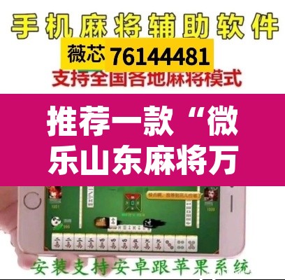 推荐一款“微乐山东麻将万能开挂器通用版	”(透视挂)辅助透视教程