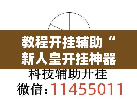 教程开挂辅助“新人皇开挂神器	”(透视挂)辅助透视教程