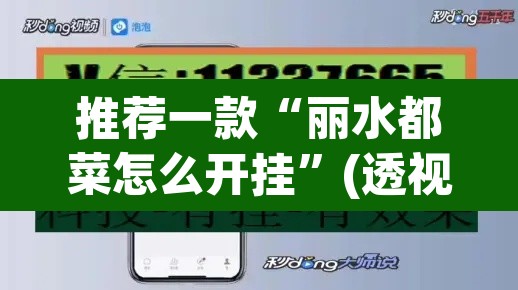 推荐一款“丽水都菜怎么开挂”(透视挂)辅助透视教程