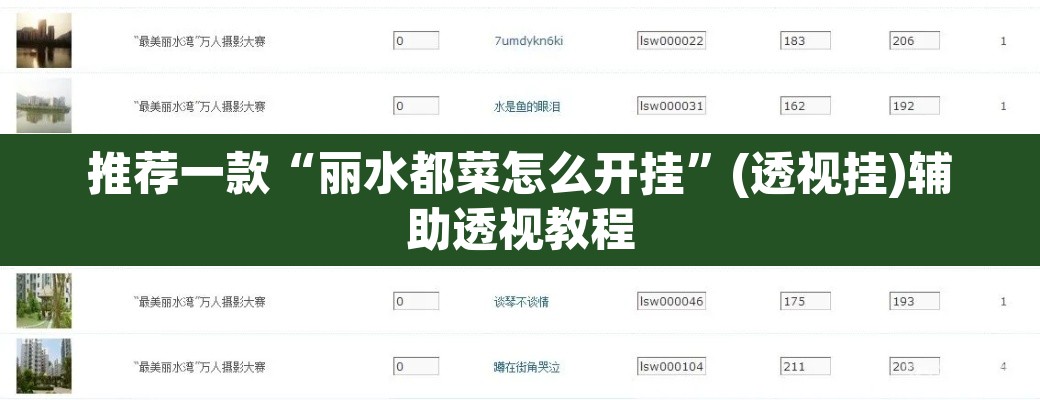 推荐一款“丽水都菜怎么开挂	”(透视挂)辅助透视教程