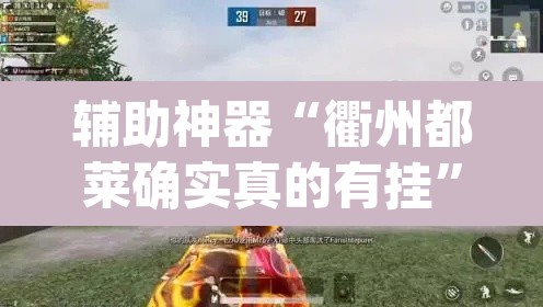 辅助神器“衢州都莱确实真的有挂”(透视挂)辅助透视教程