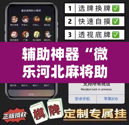 辅助神器“微乐河北麻将助赢神器购买	”(透视挂)辅助透视教程