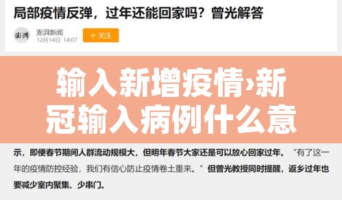 输入新增疫情›新冠输入病例什么意思