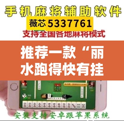 推荐一款“丽水跑得快有挂”(透视挂)辅助透视教程