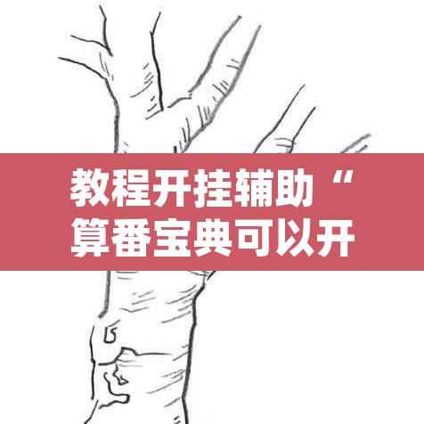 教程开挂辅助“算番宝典可以开挂吗”(透视挂)辅助透视教程