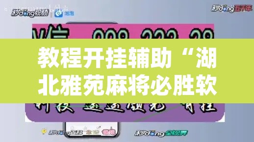 教程开挂辅助“湖北雅苑麻将必胜软件	”(透视挂)辅助透视教程