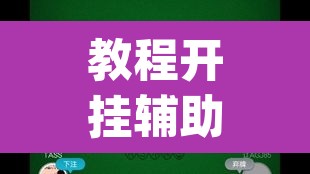 教程开挂辅助“wepoker德州局有挂吗”(透视挂)辅助透视教程