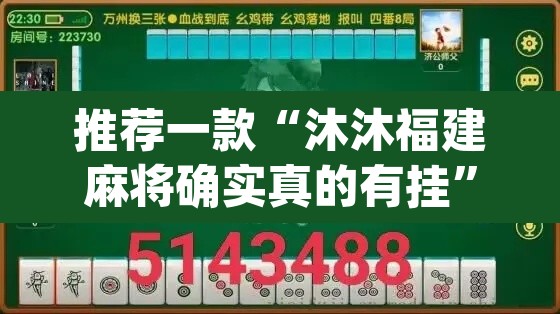 推荐一款“沐沐福建麻将确实真的有挂”(透视挂)辅助透视教程