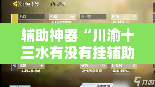 辅助神器“川渝十三水有没有挂辅助”(透视挂)辅助透视教程