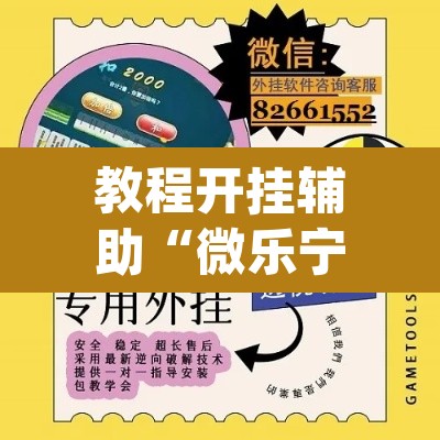 教程开挂辅助“微乐宁夏划水怎么设置才能赢”(透视挂)辅助透视教程