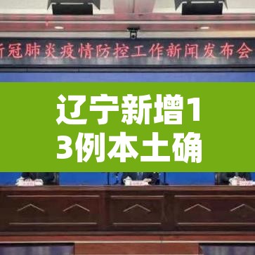 辽宁新增13例本土确诊›辽宁新增11例本土病例行动轨迹