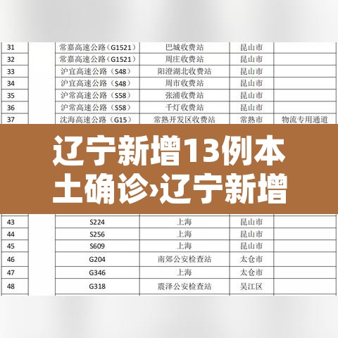 辽宁新增13例本土确诊›辽宁新增11例本土病例行动轨迹