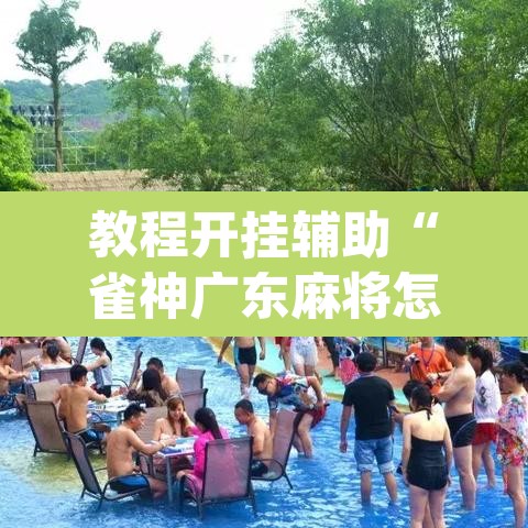 教程开挂辅助“雀神广东麻将怎么买挂”(透视挂)辅助透视教程