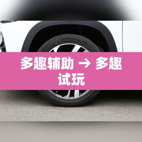 多趣辅助 → 多趣试玩