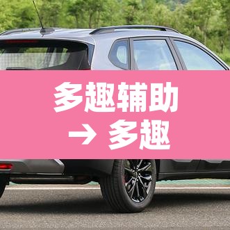 多趣辅助 → 多趣试玩