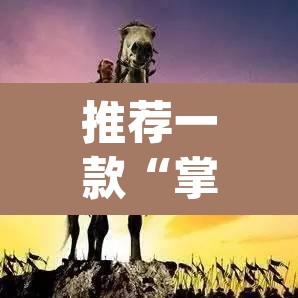 推荐一款“掌酷十三张辅助”(透视挂)辅助透视教程