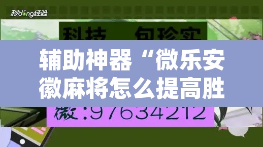 辅助神器“微乐安徽麻将怎么提高胜率”(透视挂)辅助透视教程
