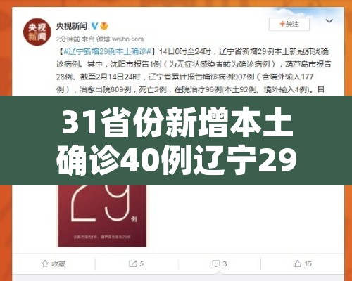 31省份新增本土确诊40例辽宁29例›辽宁省新增本土确诊病例