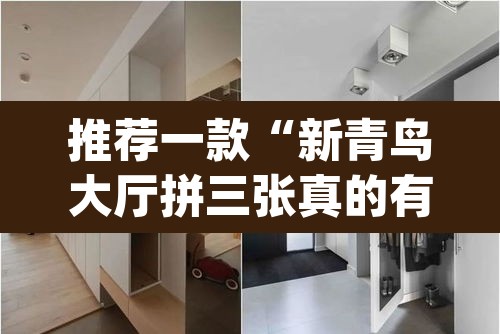 推荐一款“新青鸟大厅拼三张真的有挂吗”(透视挂)辅助透视教程