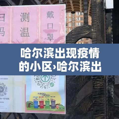 哈尔滨出现疫情的小区›哈尔滨出现疑似疫情小区
