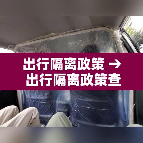 出行隔离政策 → 出行隔离政策查询