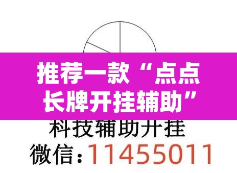 推荐一款“点点长牌开挂辅助”(透视挂)辅助透视教程