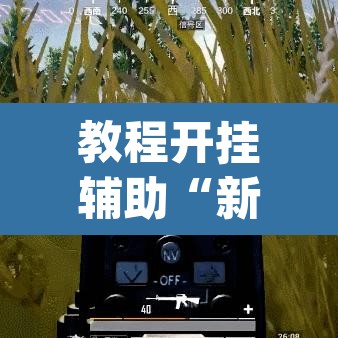 教程开挂辅助“新全游是不是有挂	”(透视挂)辅助透视教程