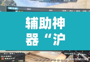 辅助神器“沪州大贰开挂神器”(透视挂)辅助透视教程